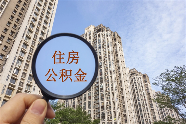 正规个人社保代缴公司-哈尔滨公积金服务平台